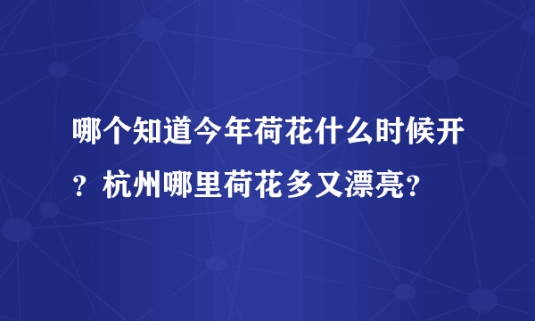 哪个知道今年荷花什么时候开？杭州哪里荷花多又漂亮？