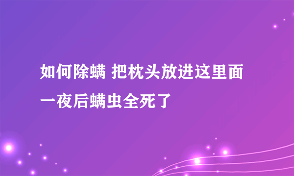 如何除螨 把枕头放进这里面一夜后螨虫全死了