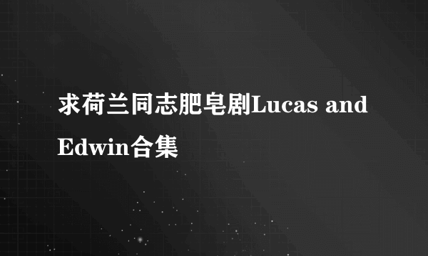 求荷兰同志肥皂剧Lucas and Edwin合集