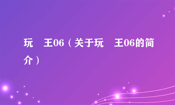 玩嘢王06（关于玩嘢王06的简介）