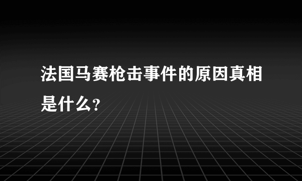 法国马赛枪击事件的原因真相是什么？