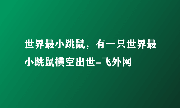 世界最小跳鼠，有一只世界最小跳鼠横空出世-飞外网