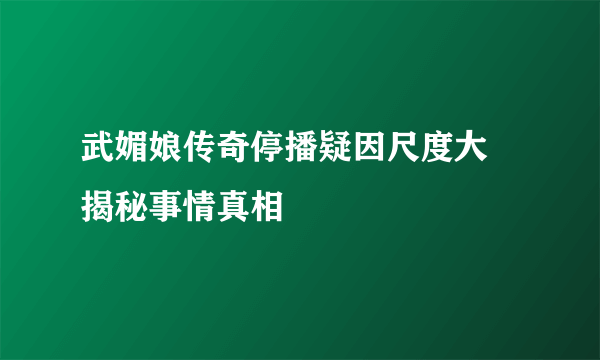 武媚娘传奇停播疑因尺度大 揭秘事情真相