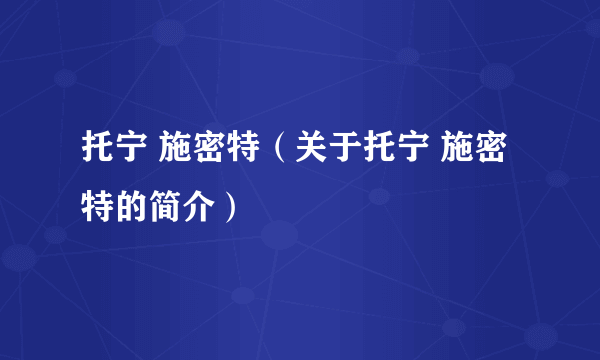 托宁 施密特（关于托宁 施密特的简介）