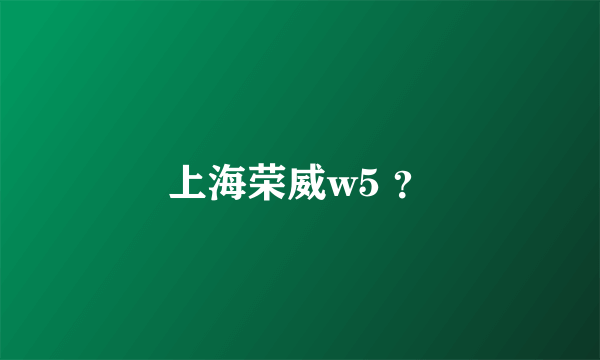 上海荣威w5 ？