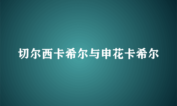 切尔西卡希尔与申花卡希尔