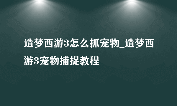 造梦西游3怎么抓宠物_造梦西游3宠物捕捉教程