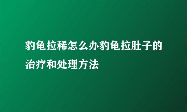 豹龟拉稀怎么办豹龟拉肚子的治疗和处理方法