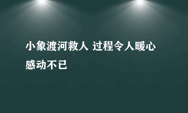 小象渡河救人 过程令人暖心感动不已