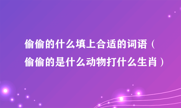 偷偷的什么填上合适的词语（偷偷的是什么动物打什么生肖）