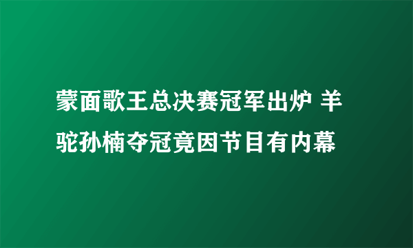 蒙面歌王总决赛冠军出炉 羊驼孙楠夺冠竟因节目有内幕