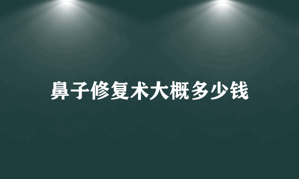 鼻子修复术大概多少钱