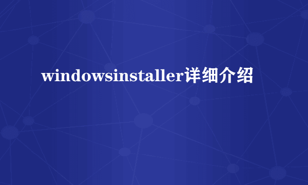 windowsinstaller详细介绍