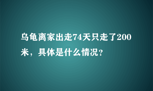 乌龟离家出走74天只走了200米，具体是什么情况？