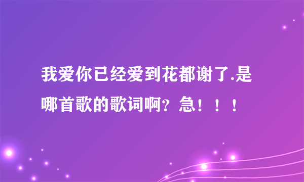 我爱你已经爱到花都谢了.是哪首歌的歌词啊？急！！！