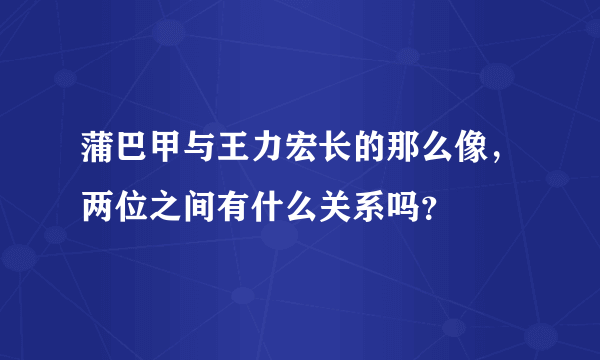 蒲巴甲与王力宏长的那么像，两位之间有什么关系吗？