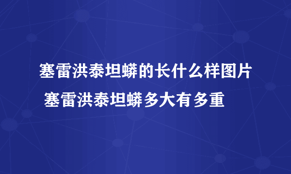 塞雷洪泰坦蟒的长什么样图片 塞雷洪泰坦蟒多大有多重