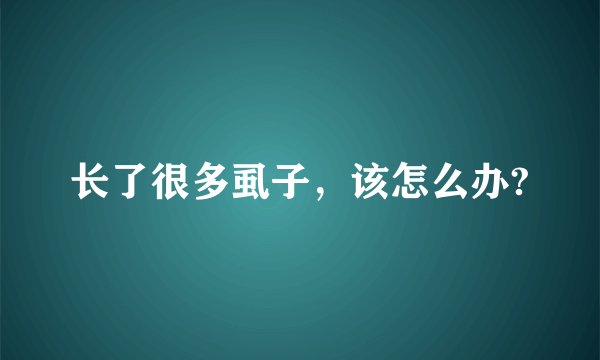 长了很多虱子，该怎么办?