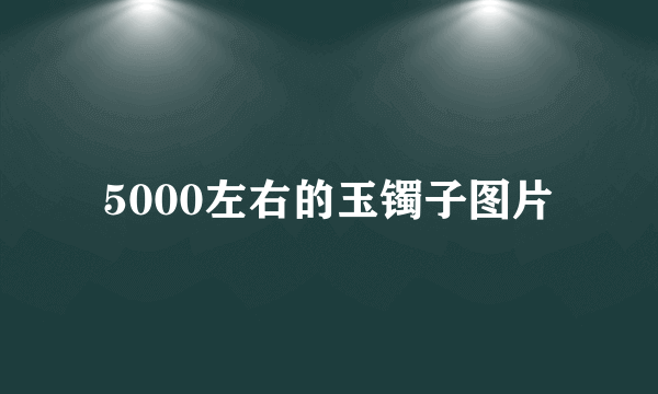 5000左右的玉镯子图片