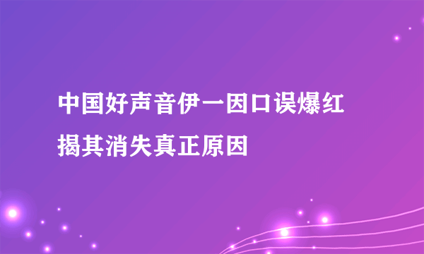 中国好声音伊一因口误爆红 揭其消失真正原因