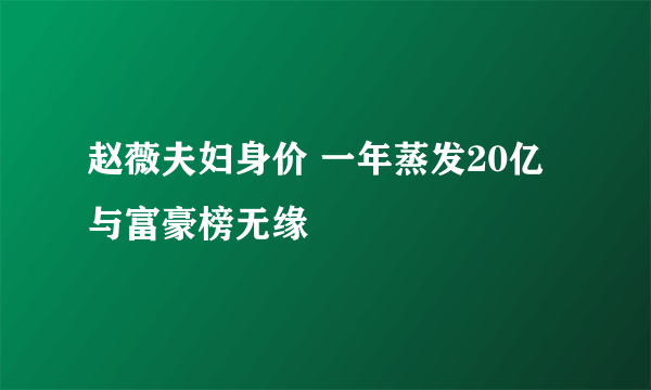 赵薇夫妇身价 一年蒸发20亿与富豪榜无缘