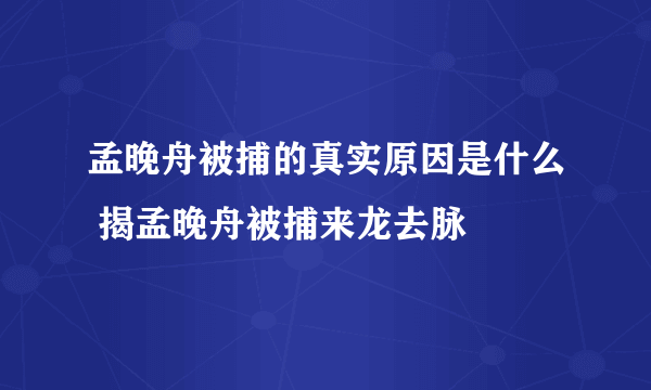 孟晚舟被捕的真实原因是什么 揭孟晚舟被捕来龙去脉