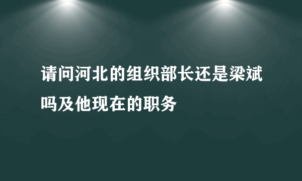 请问河北的组织部长还是梁斌吗及他现在的职务