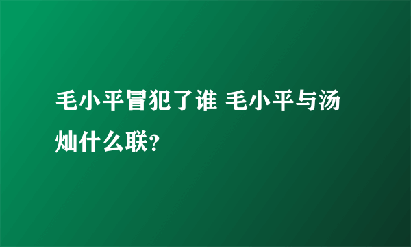 毛小平冒犯了谁 毛小平与汤灿什么联？