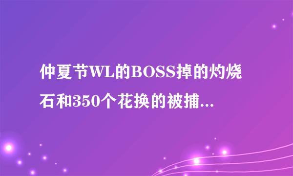 仲夏节WL的BOSS掉的灼烧石和350个花换的被捕获的火焰 是同样的宝宝吗