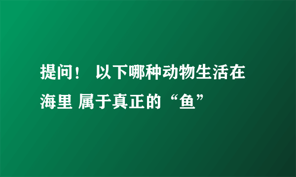 提问！ 以下哪种动物生活在海里 属于真正的“鱼”