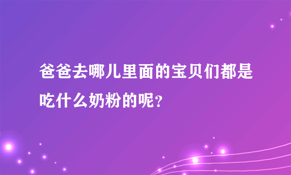 爸爸去哪儿里面的宝贝们都是吃什么奶粉的呢？