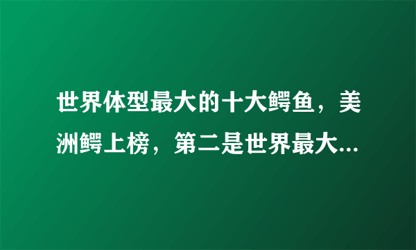 世界体型最大的十大鳄鱼，美洲鳄上榜，第二是世界最大的爬行动物