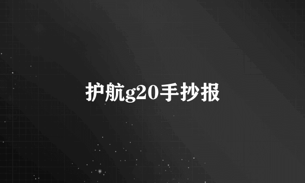 护航g20手抄报