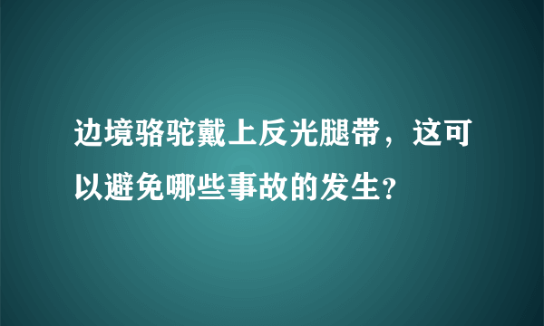 边境骆驼戴上反光腿带，这可以避免哪些事故的发生？