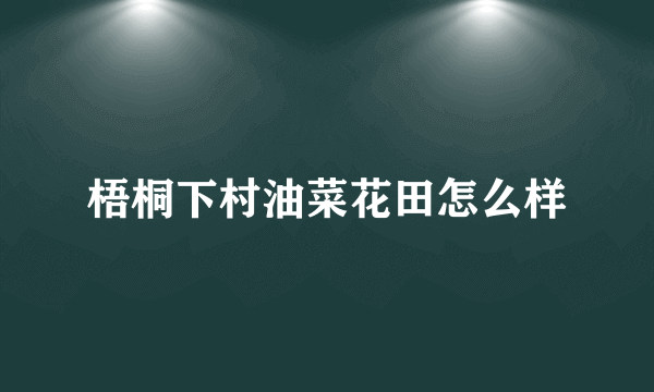 梧桐下村油菜花田怎么样