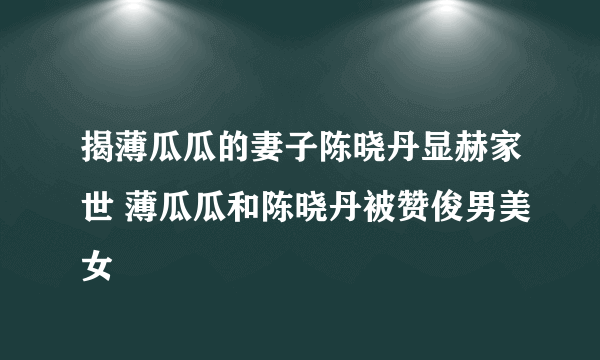 揭薄瓜瓜的妻子陈晓丹显赫家世 薄瓜瓜和陈晓丹被赞俊男美女