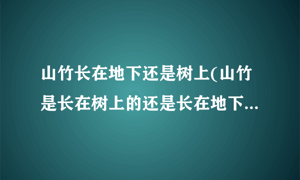 山竹长在地下还是树上(山竹是长在树上的还是长在地下的)-飞外