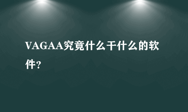 VAGAA究竟什么干什么的软件？