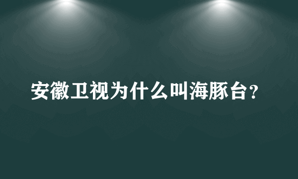 安徽卫视为什么叫海豚台？