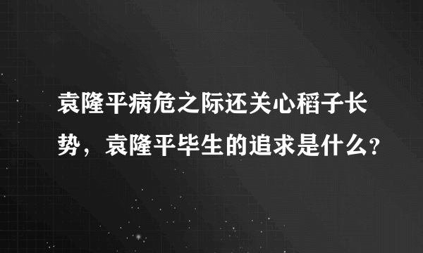 袁隆平病危之际还关心稻子长势，袁隆平毕生的追求是什么？