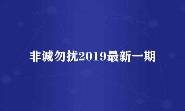 非诚勿扰2019最新一期