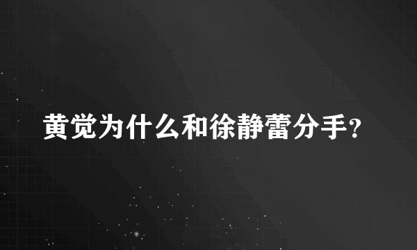 黄觉为什么和徐静蕾分手？