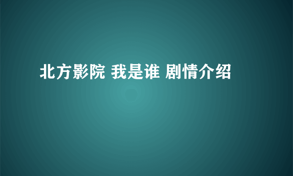 北方影院 我是谁 剧情介绍