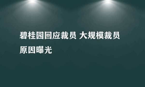 碧桂园回应裁员 大规模裁员原因曝光