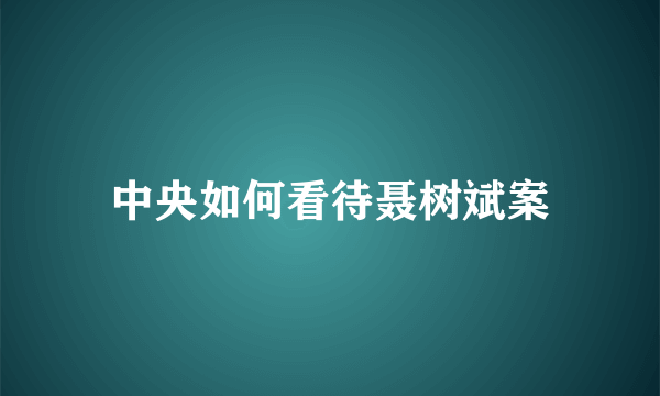 中央如何看待聂树斌案