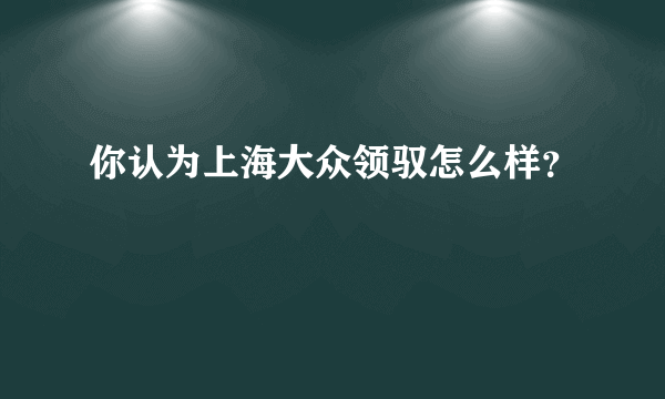 你认为上海大众领驭怎么样？