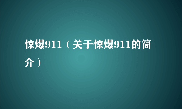 惊爆911（关于惊爆911的简介）