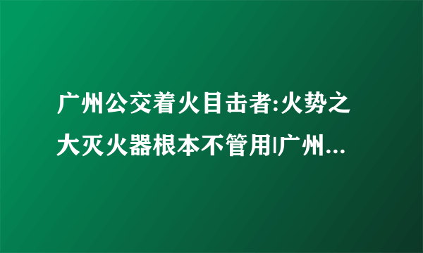 广州公交着火目击者:火势之大灭火器根本不管用|广州公交着火案|焚烧公交|公交纵火案_飞外新闻