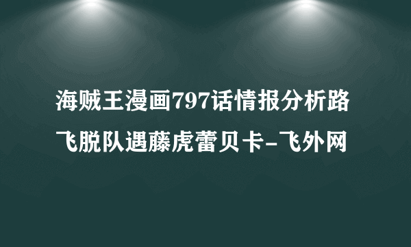 海贼王漫画797话情报分析路飞脱队遇藤虎蕾贝卡-飞外网