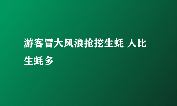 游客冒大风浪抢挖生蚝 人比生蚝多